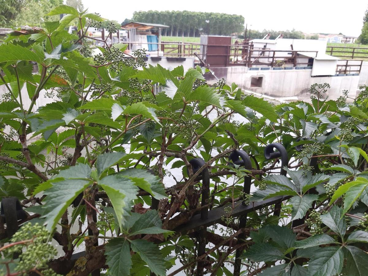 埃米别墅 Piombino Dese 外观 照片